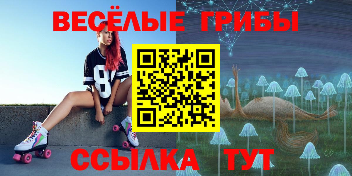Псилоцибиновые грибы Cubensis  купить наркоту  Уварово  Вход с VPN 