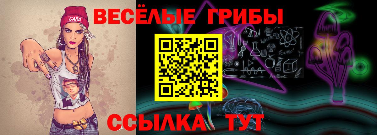 Псилоцибиновые грибы Psilocybe Уварово